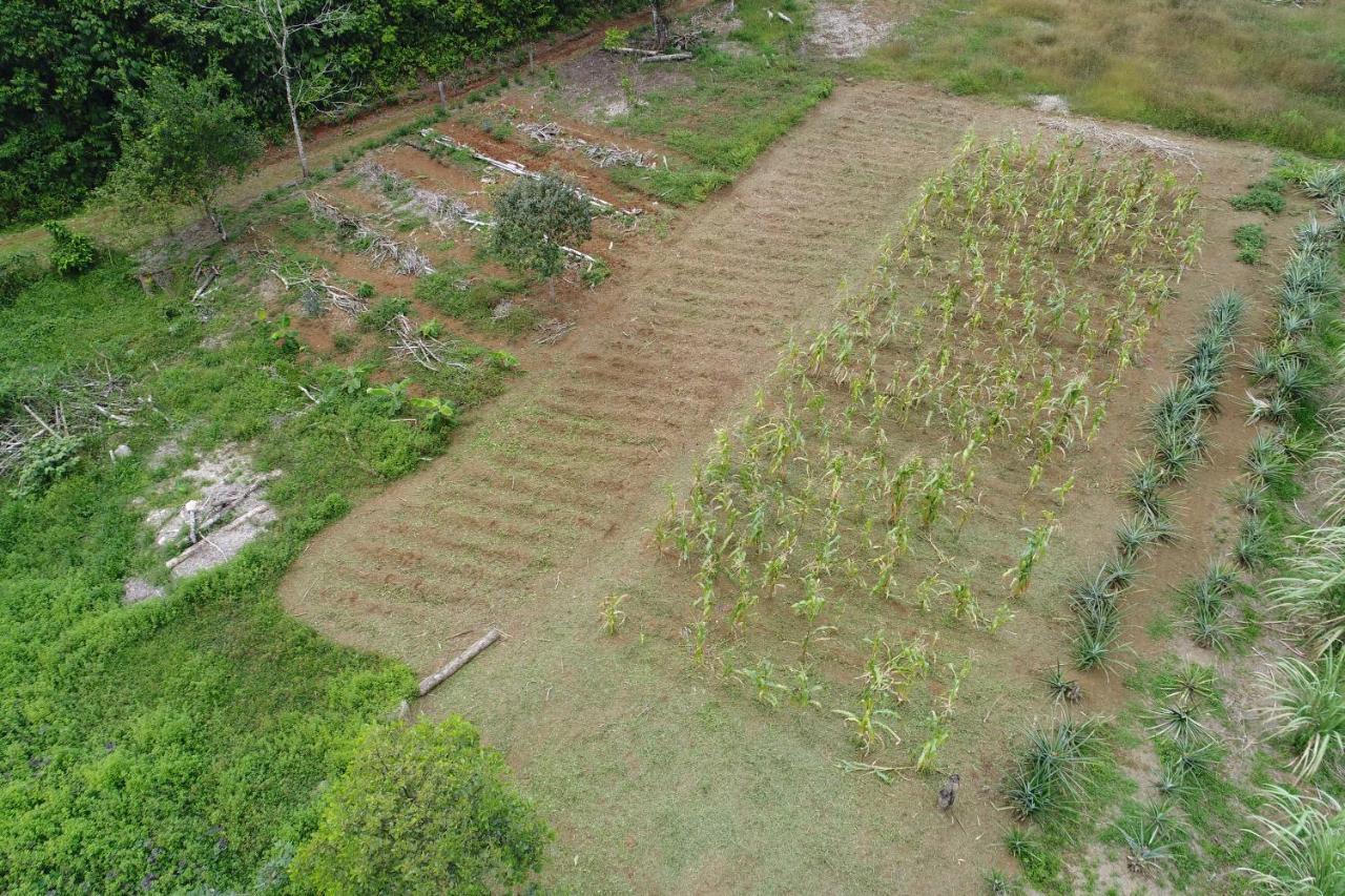 Hope Garden, Sarapiqui, We Connect You With The Sarapiqui Tropical Forest Экстерьер фото