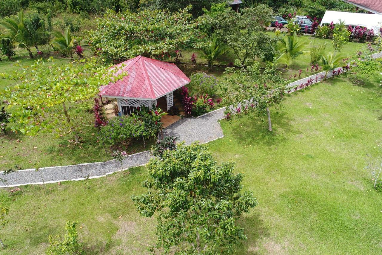 Hope Garden, Sarapiqui, We Connect You With The Sarapiqui Tropical Forest Экстерьер фото