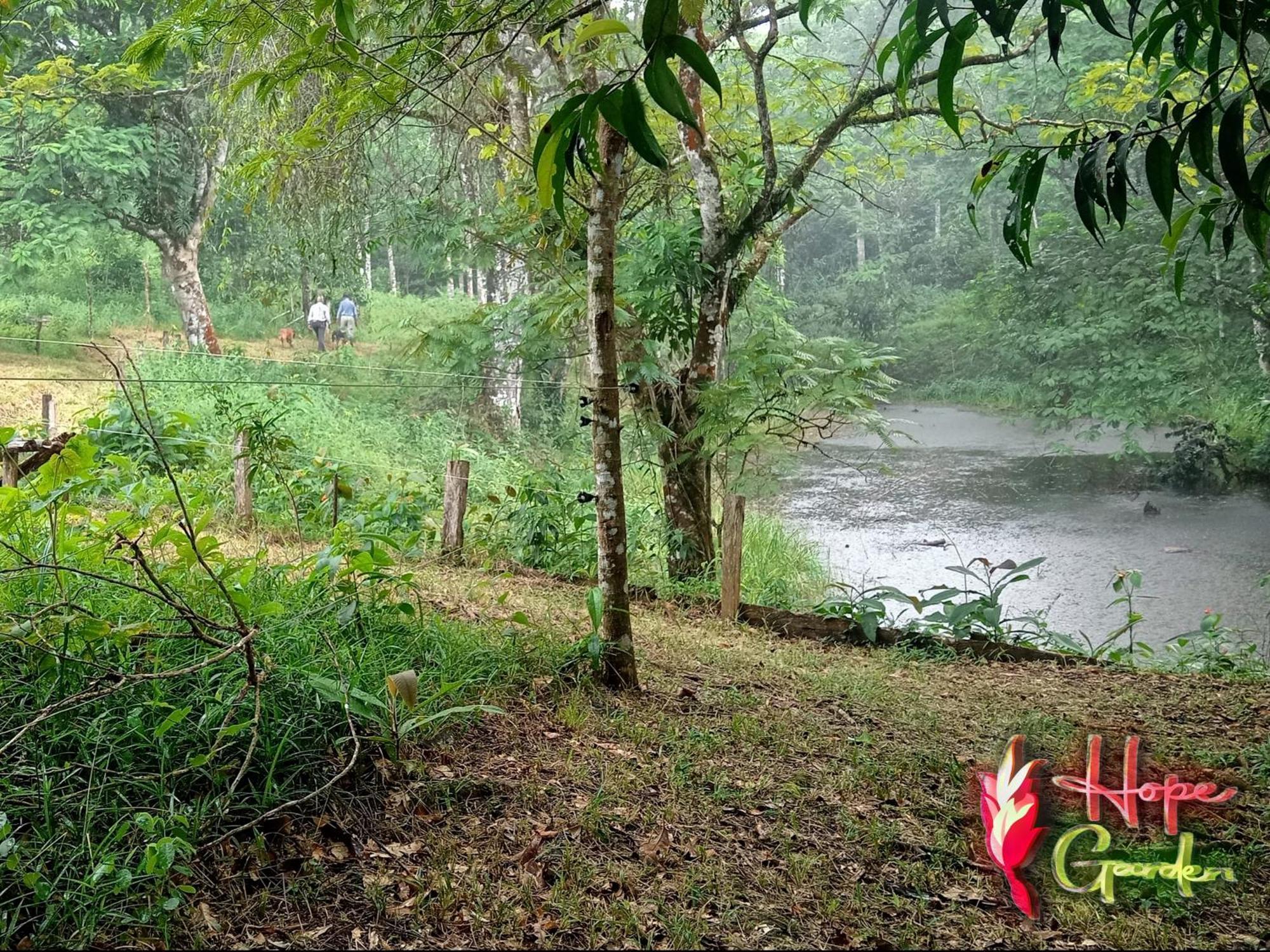 Hope Garden, Sarapiqui, We Connect You With The Sarapiqui Tropical Forest Экстерьер фото