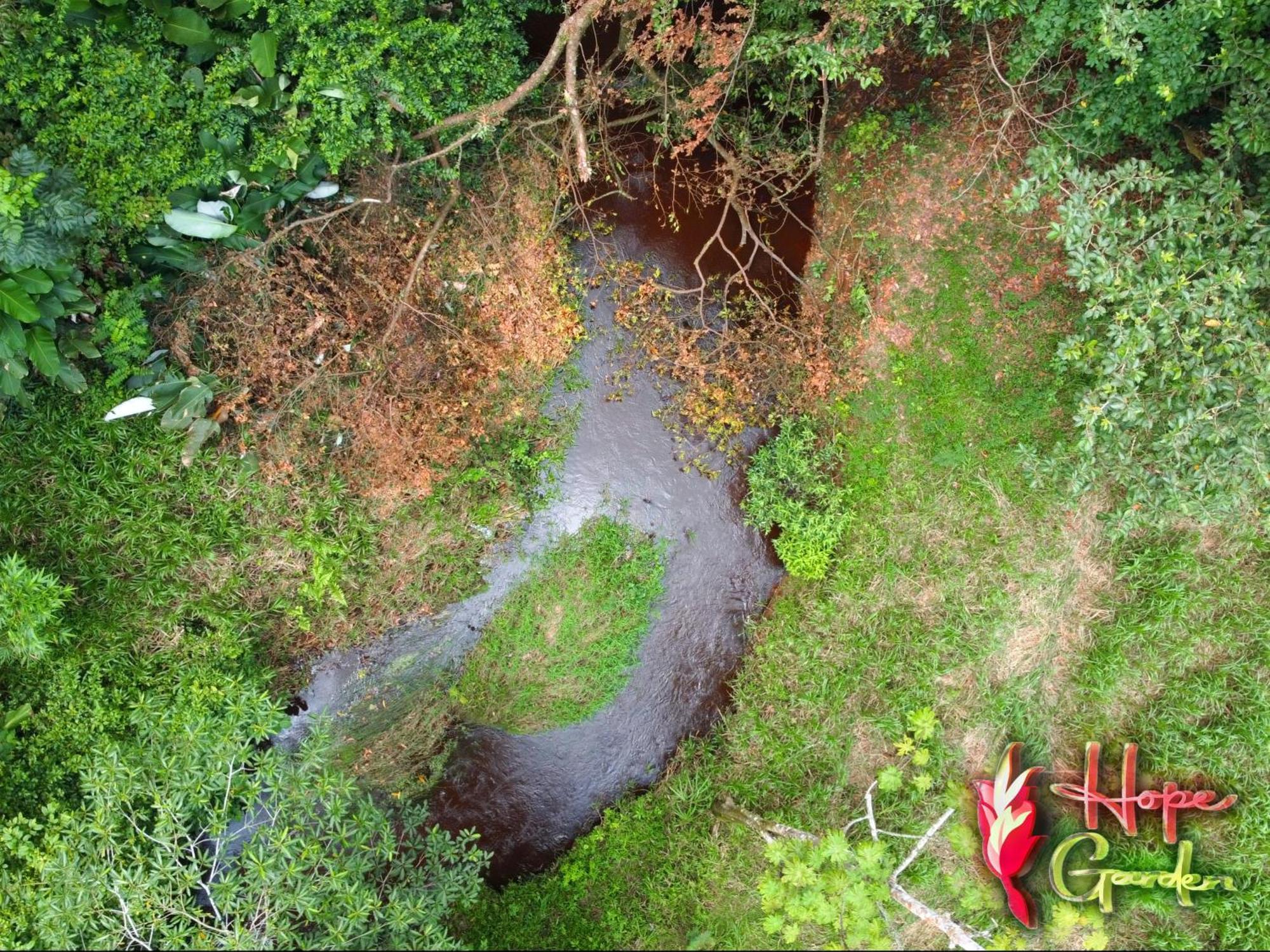 Hope Garden, Sarapiqui, We Connect You With The Sarapiqui Tropical Forest Экстерьер фото